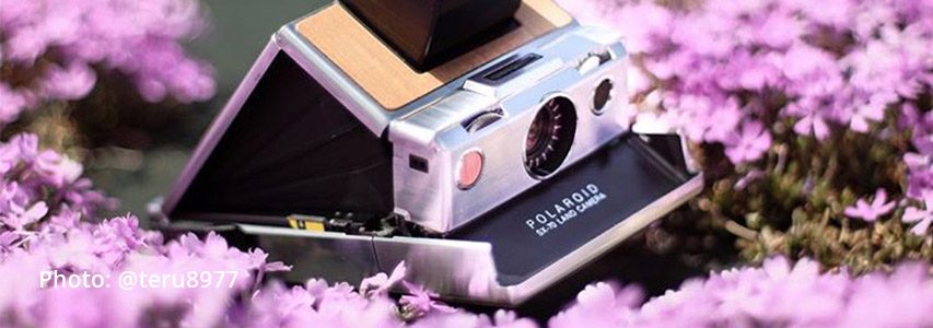 Polaroid-sx-70-travel-tip